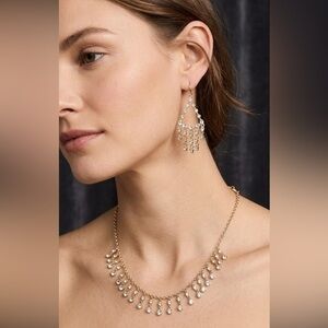 NWT J. Crew Crystal Fringe Statement Necklace & Chandelier Earring Set ✨